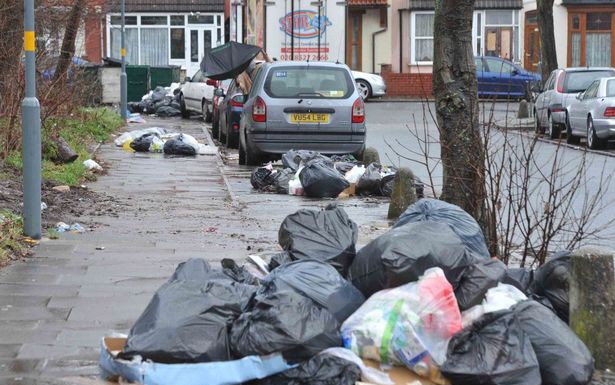 City Man Fined for Dumping Waste