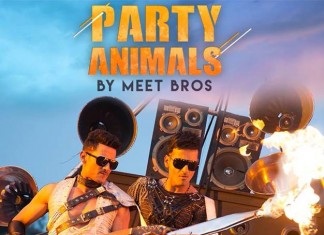 Party Animals!