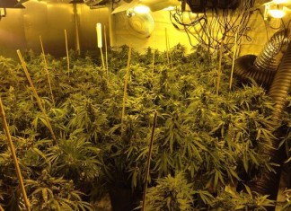 Cannabis Raid on Oldbury Building