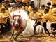 ‘Bulls’ Protest Animal Cruelty