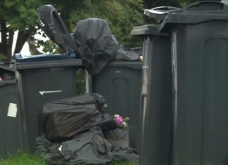 Birmingham Bin Strike Back On