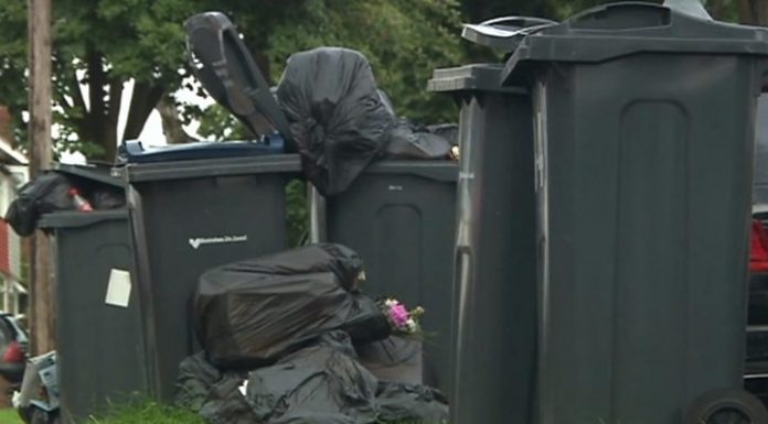 Birmingham Bin Strike Back On