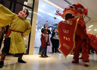 Year of the Top Dog