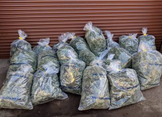 West Midlands Police ‘Take Down’ large cannabis factory in Willenhall
