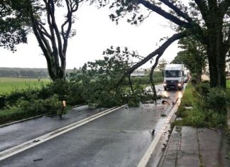 Birmingham bares brunt of Storm Ali – with high winds causing disruption to travel