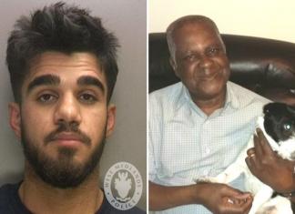 Teenager Mowed Down Grandad At Pelican Crossing