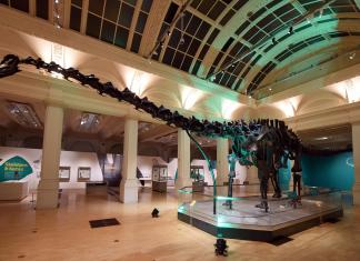 BIRMINGHAM MUSEUM & ART GALLERY CELEBRATES BOOST IN VISITOR FIGURES